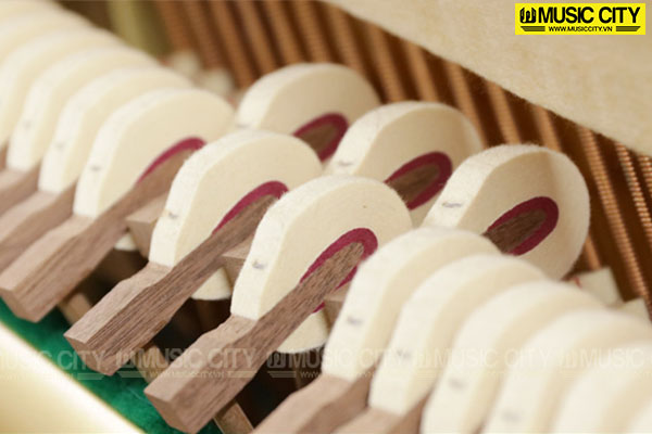 Music City – Tổng Kho Piano, Guitar, Organ | Dịch Vụ Giáo Dục Âm Nhạc