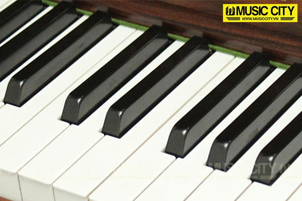 Music City – Tổng Kho Piano, Guitar, Organ | Dịch Vụ Giáo Dục Âm Nhạc