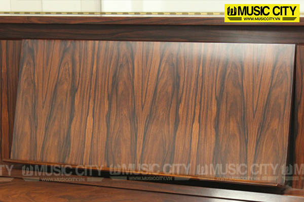 Music City – Tổng Kho Piano, Guitar, Organ | Dịch Vụ Giáo Dục Âm Nhạc