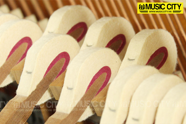 Music City – Tổng Kho Piano, Guitar, Organ | Dịch Vụ Giáo Dục Âm Nhạc