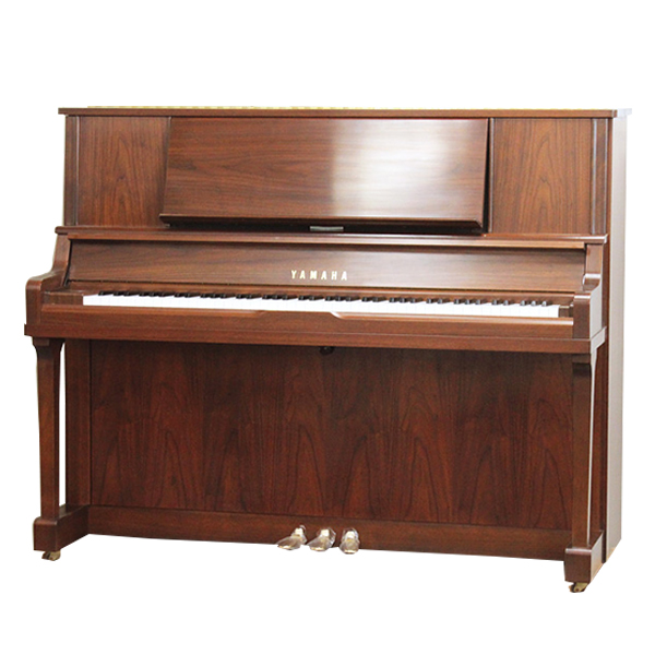 Music City – Tổng Kho Piano, Guitar, Organ | Dịch Vụ Giáo Dục Âm Nhạc