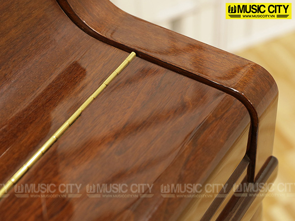 Music City – Tổng Kho Piano, Guitar, Organ | Dịch Vụ Giáo Dục Âm Nhạc