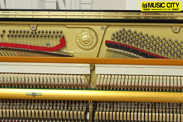 Music City – Tổng Kho Piano, Guitar, Organ | Dịch Vụ Giáo Dục Âm Nhạc
