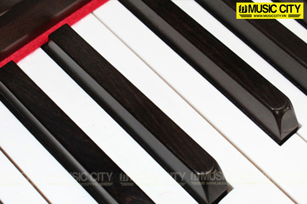 Music City – Tổng Kho Piano, Guitar, Organ | Dịch Vụ Giáo Dục Âm Nhạc