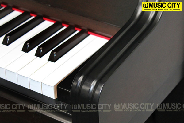 Music City – Tổng Kho Piano, Guitar, Organ | Dịch Vụ Giáo Dục Âm Nhạc