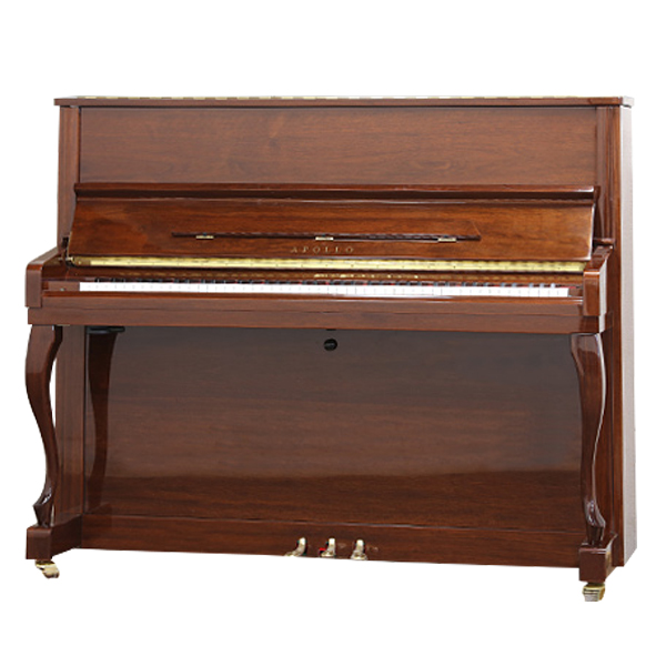 Music City – Tổng Kho Piano, Guitar, Organ | Dịch Vụ Giáo Dục Âm Nhạc