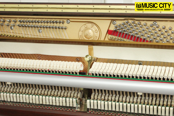 Music City – Tổng Kho Piano, Guitar, Organ | Dịch Vụ Giáo Dục Âm Nhạc