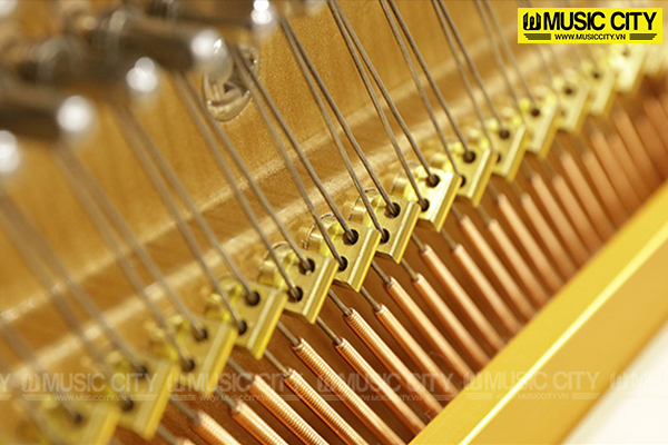Music City – Tổng Kho Piano, Guitar, Organ | Dịch Vụ Giáo Dục Âm Nhạc