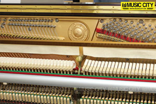 Music City – Tổng Kho Piano, Guitar, Organ | Dịch Vụ Giáo Dục Âm Nhạc