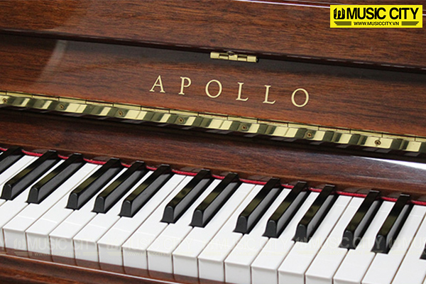 Music City – Tổng Kho Piano, Guitar, Organ | Dịch Vụ Giáo Dục Âm Nhạc
