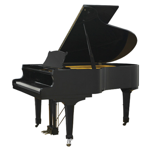 Đàn Grand Apollo RG30