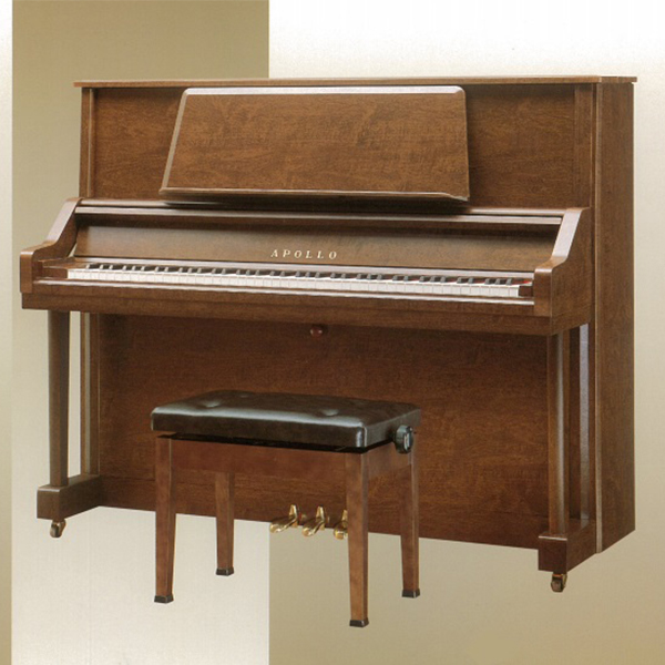 Music City – Tổng Kho Piano, Guitar, Organ | Dịch Vụ Giáo Dục Âm Nhạc