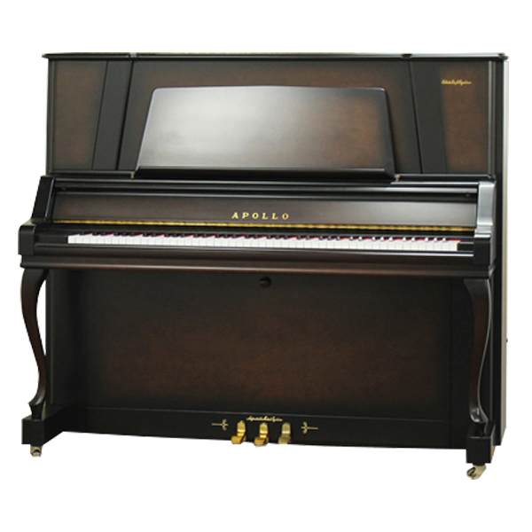 Music City – Tổng Kho Piano, Guitar, Organ | Dịch Vụ Giáo Dục Âm Nhạc