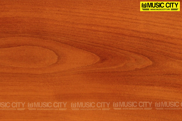 Music City – Tổng Kho Piano, Guitar, Organ | Dịch Vụ Giáo Dục Âm Nhạc