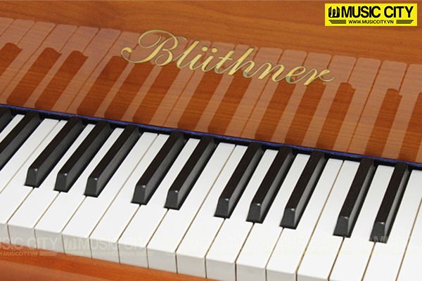 Music City – Tổng Kho Piano, Guitar, Organ | Dịch Vụ Giáo Dục Âm Nhạc