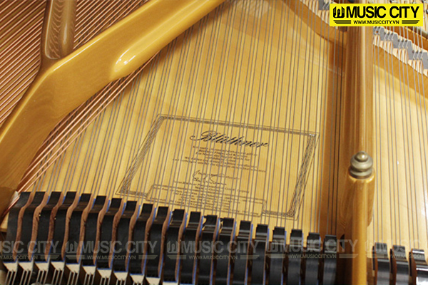 Music City – Tổng Kho Piano, Guitar, Organ | Dịch Vụ Giáo Dục Âm Nhạc