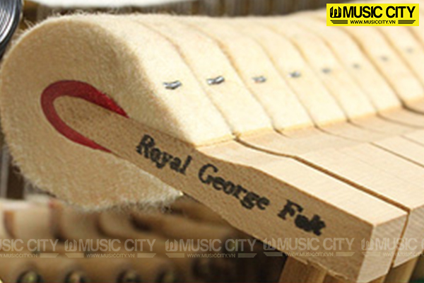 Music City – Tổng Kho Piano, Guitar, Organ | Dịch Vụ Giáo Dục Âm Nhạc