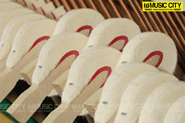 Music City – Tổng Kho Piano, Guitar, Organ | Dịch Vụ Giáo Dục Âm Nhạc