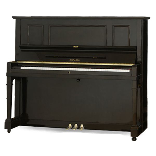 Music City – Tổng Kho Piano, Guitar, Organ | Dịch Vụ Giáo Dục Âm Nhạc