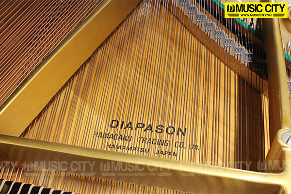 Music City – Tổng Kho Piano, Guitar, Organ | Dịch Vụ Giáo Dục Âm Nhạc