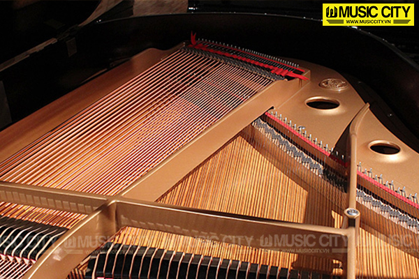 Music City – Tổng Kho Piano, Guitar, Organ | Dịch Vụ Giáo Dục Âm Nhạc