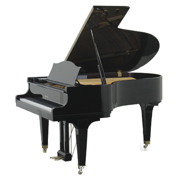 Music City – Tổng Kho Piano, Guitar, Organ | Dịch Vụ Giáo Dục Âm Nhạc