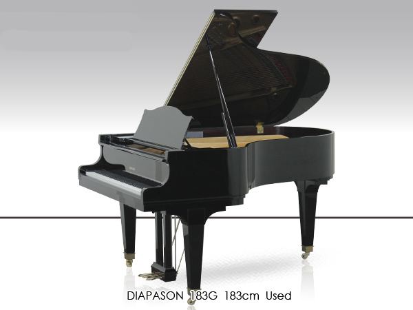 Music City – Tổng Kho Piano, Guitar, Organ | Dịch Vụ Giáo Dục Âm Nhạc