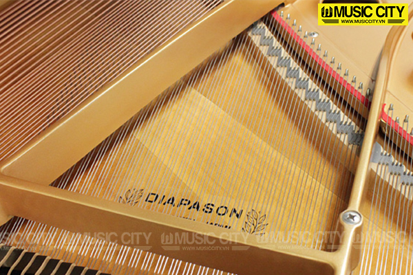 Music City – Tổng Kho Piano, Guitar, Organ | Dịch Vụ Giáo Dục Âm Nhạc