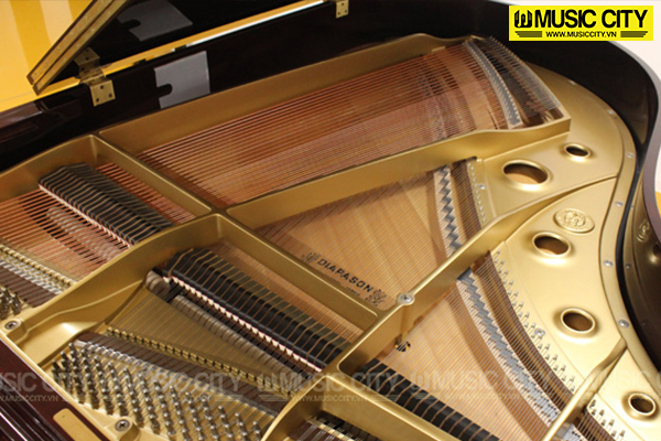 Music City – Tổng Kho Piano, Guitar, Organ | Dịch Vụ Giáo Dục Âm Nhạc