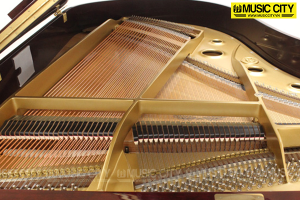 Music City – Tổng Kho Piano, Guitar, Organ | Dịch Vụ Giáo Dục Âm Nhạc