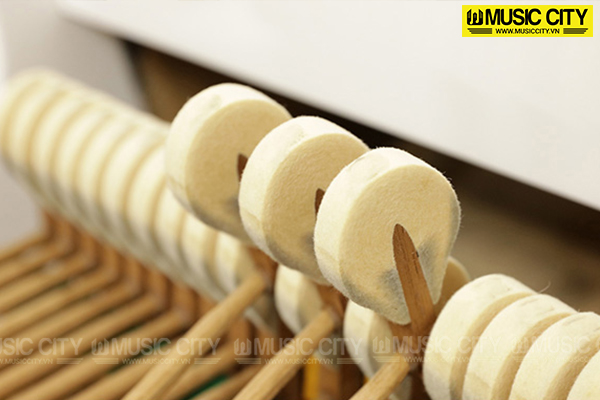 Music City – Tổng Kho Piano, Guitar, Organ | Dịch Vụ Giáo Dục Âm Nhạc