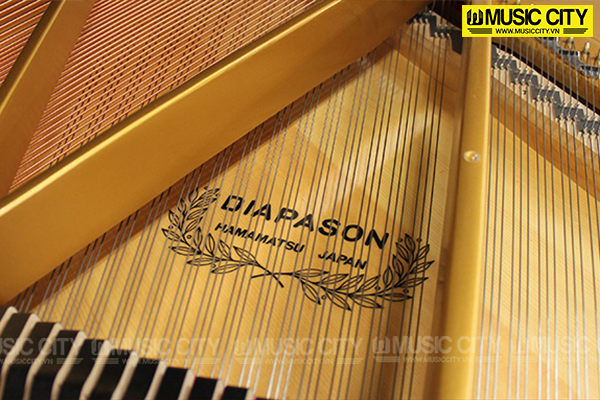 Music City – Tổng Kho Piano, Guitar, Organ | Dịch Vụ Giáo Dục Âm Nhạc