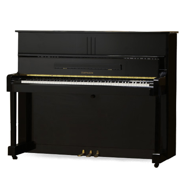 Music City – Tổng Kho Piano, Guitar, Organ | Dịch Vụ Giáo Dục Âm Nhạc