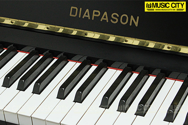 Music City – Tổng Kho Piano, Guitar, Organ | Dịch Vụ Giáo Dục Âm Nhạc