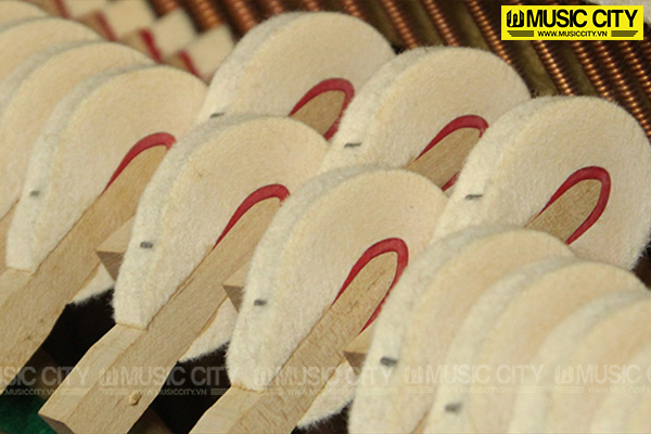 Music City – Tổng Kho Piano, Guitar, Organ | Dịch Vụ Giáo Dục Âm Nhạc