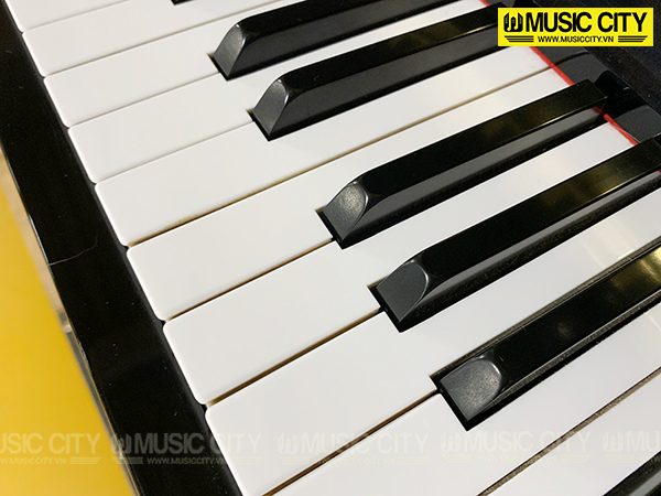 Music City – Tổng Kho Piano, Guitar, Organ | Dịch Vụ Giáo Dục Âm Nhạc