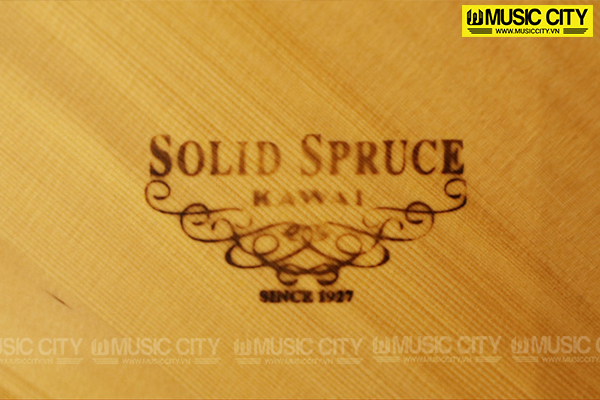 Music City – Tổng Kho Piano, Guitar, Organ | Dịch Vụ Giáo Dục Âm Nhạc