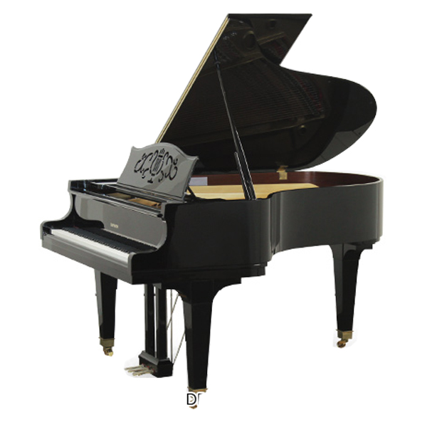 Music City – Tổng Kho Piano, Guitar, Organ | Dịch Vụ Giáo Dục Âm Nhạc
