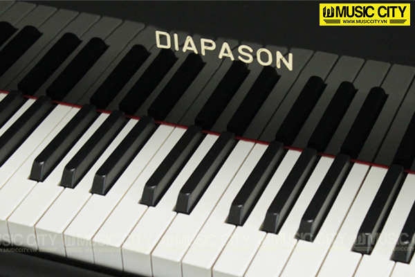 Music City – Tổng Kho Piano, Guitar, Organ | Dịch Vụ Giáo Dục Âm Nhạc