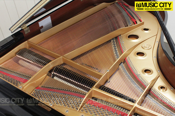 Music City – Tổng Kho Piano, Guitar, Organ | Dịch Vụ Giáo Dục Âm Nhạc