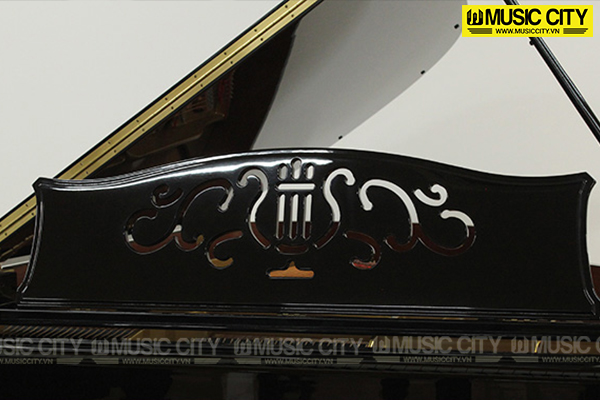 Music City – Tổng Kho Piano, Guitar, Organ | Dịch Vụ Giáo Dục Âm Nhạc