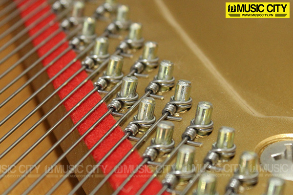 Music City – Tổng Kho Piano, Guitar, Organ | Dịch Vụ Giáo Dục Âm Nhạc
