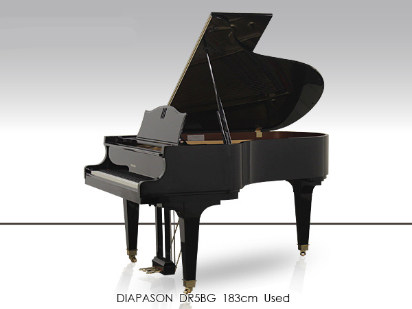 Music City – Tổng Kho Piano, Guitar, Organ | Dịch Vụ Giáo Dục Âm Nhạc