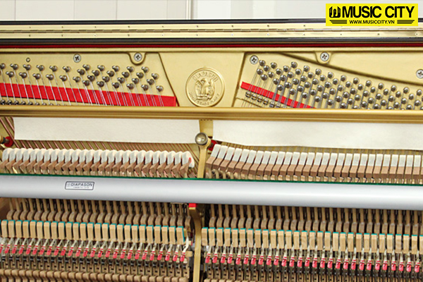 Music City – Tổng Kho Piano, Guitar, Organ | Dịch Vụ Giáo Dục Âm Nhạc