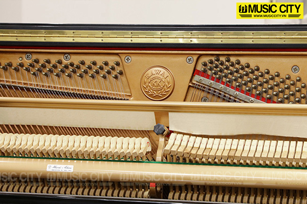 Music City – Tổng Kho Piano, Guitar, Organ | Dịch Vụ Giáo Dục Âm Nhạc
