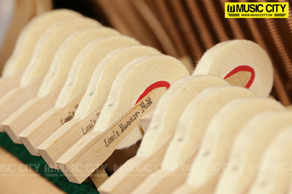Music City – Tổng Kho Piano, Guitar, Organ | Dịch Vụ Giáo Dục Âm Nhạc