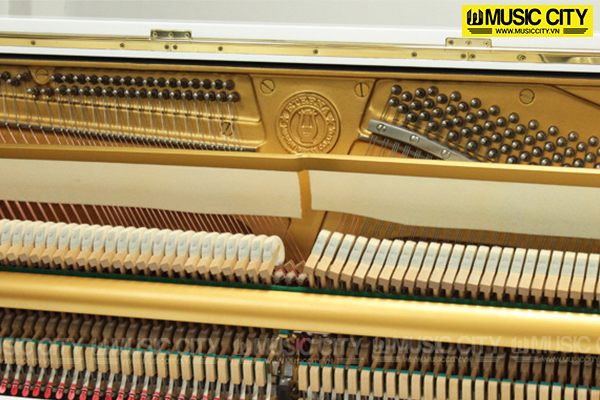 Music City – Tổng Kho Piano, Guitar, Organ | Dịch Vụ Giáo Dục Âm Nhạc
