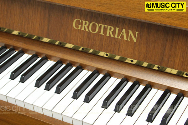 Music City – Tổng Kho Piano, Guitar, Organ | Dịch Vụ Giáo Dục Âm Nhạc
