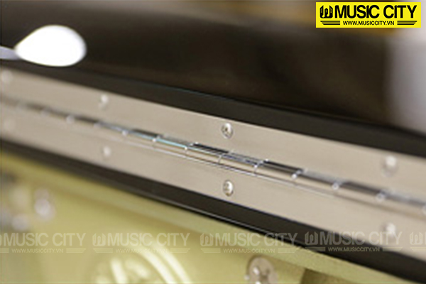 Music City – Tổng Kho Piano, Guitar, Organ | Dịch Vụ Giáo Dục Âm Nhạc