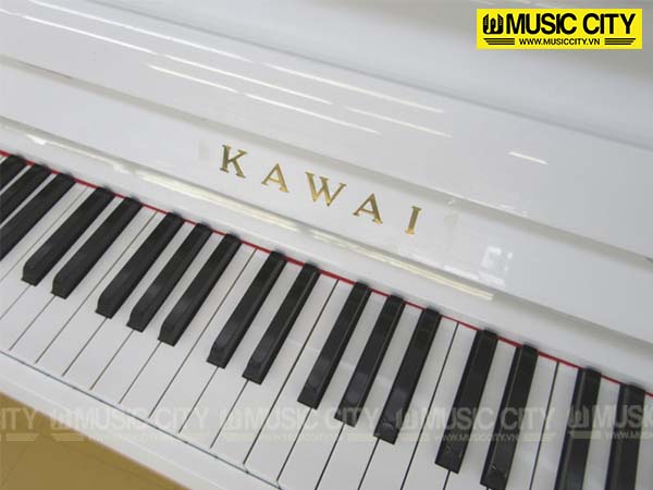 Music City – Tổng Kho Piano, Guitar, Organ | Dịch Vụ Giáo Dục Âm Nhạc